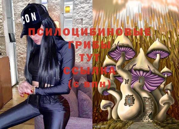 COCAINE Баксан