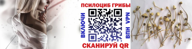 где купить наркотик  сайты даркнета клад  Псилоцибиновые грибы мухоморы  Теберда 