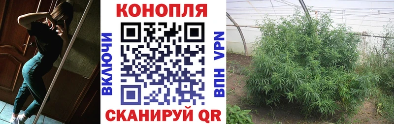 Конопля гибрид  где можно купить наркотик  Теберда 